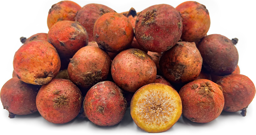 Wild Figs picture