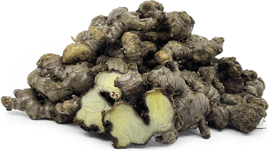 Halia Bara Ginger picture